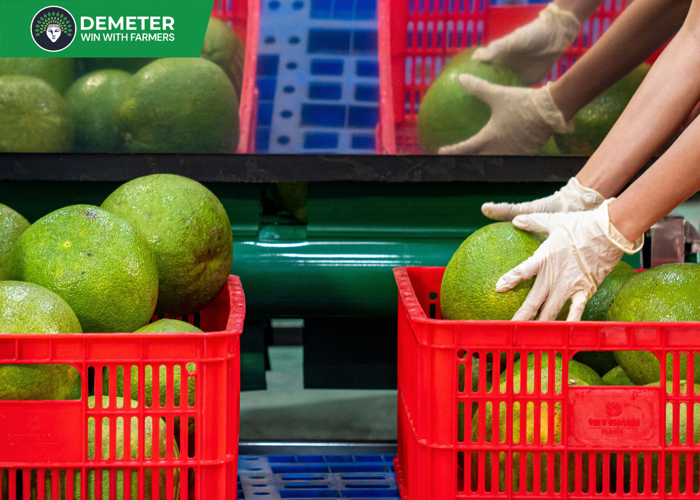 Anh dai dien tin tuc